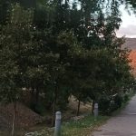 PANO_20220810_194725-min